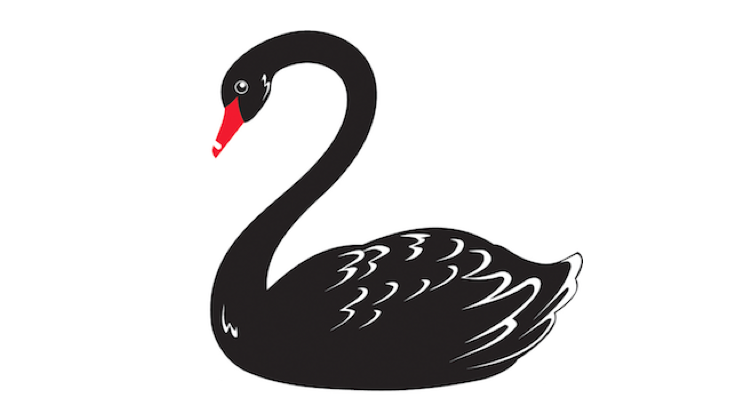 The Black Swan In Security Statistics Zero Day Malware