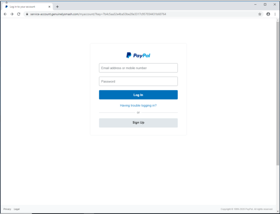 PayPal Login Form
